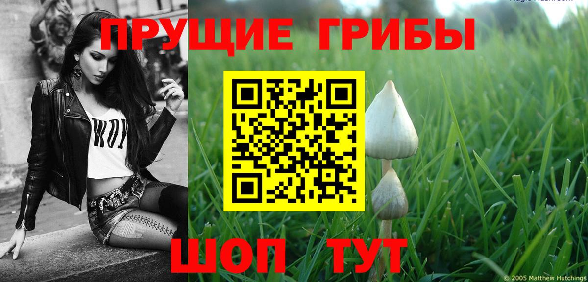 Псилоцибиновые грибы Psilocybine cubensis  хочу наркоту  Ивантеевка  Вход с VPN 